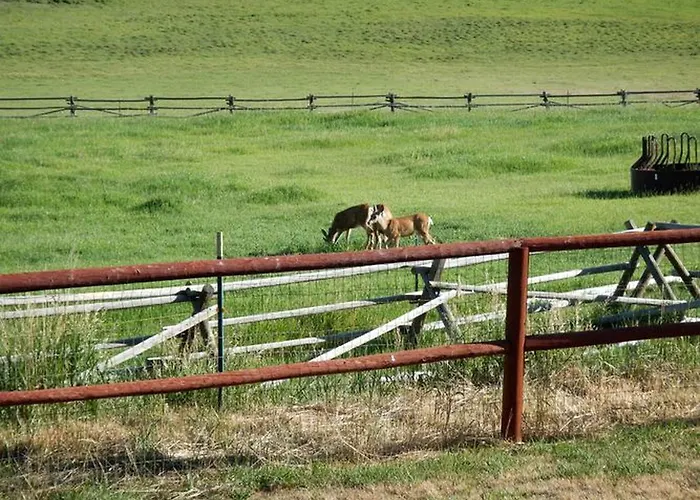 Cozy With Breakfast Included In Meeteetse, Wyoming Сasa de vacaciones *